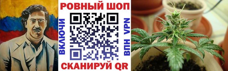 Где купить наркотики Почеп Каннабис  Псилоцибиновые грибы  СК  Амфетамин  Гашиш  Меф мяу мяу  Кокаин 