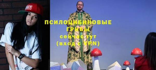 МДПВ Армянск