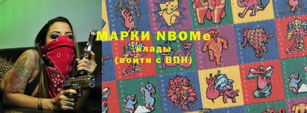 сатива Аркадак