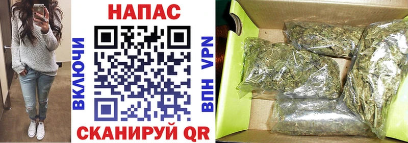 цены   Почеп  Конопля OG Kush 